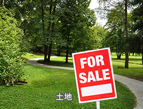 土地