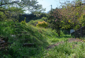 姶良市平松　売土地