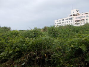 頴娃町別府　売土地